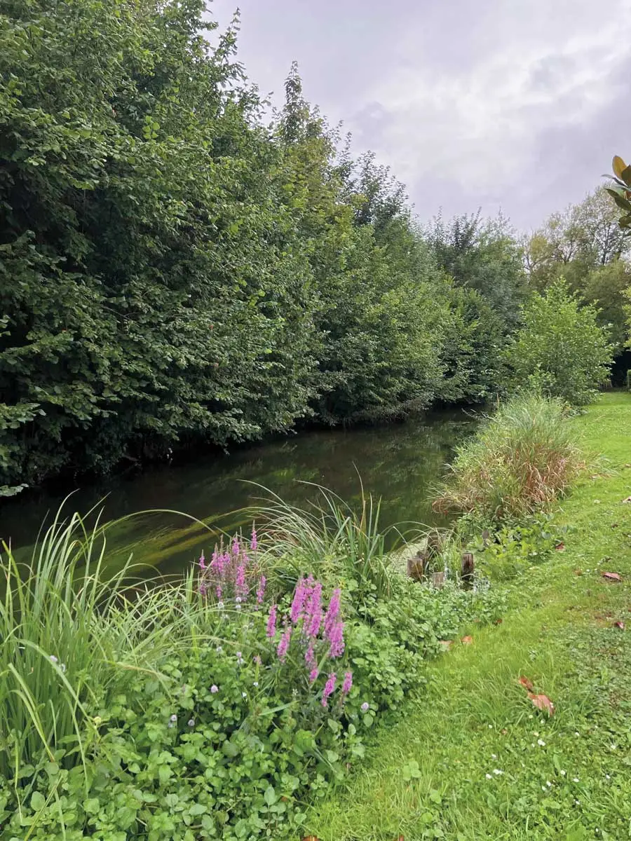 riviere riverside