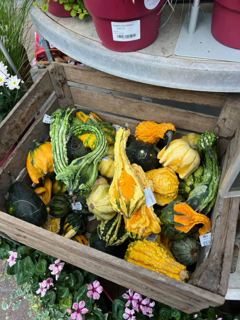 Une Bonne Maison - Profiter Automne - Fall Living-12